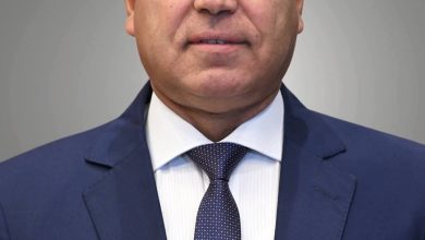 حوافز جديدة لدعم صناعة ألواح