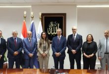 السماح لـ7 شركات سيارات في مصر
